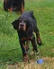 dsc_0006_2.jpg