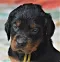 1_dsc_0587_2.jpg