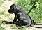 25.04.20_2_012lila.jpg