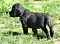 25.04.20_2_013lila.jpg