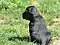 25.04.20_2_023lila.jpg