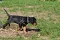 2_dsc_0221_800x530.jpg