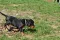 2_dsc_0222_800x530.jpg