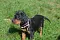 3_dsc_0001_800x530.jpg