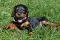 6_dsc_0025_800x530.jpg
