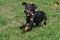 8_dsc_0038_800x530.jpg