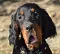 dsc_0021_800x720.jpg