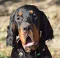 dsc_0023_800x773.jpg