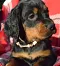dsc_0025_738x800.jpg