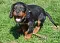 dsc_0027_800x563.jpg