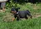 dsc_0033_800x566.jpg