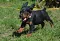 dsc_0037_800x534.jpg