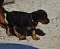 dsc_0043_5.jpg