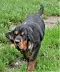 dsc_0046_2.jpg