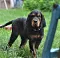 dsc_0047_2.jpg