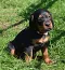 dsc_0051_749x800.jpg
