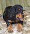 dsc_0071.jpg