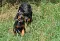 dsc_0114_800x543.jpg