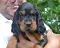 dsc_0119_800x627.jpg