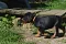 dsc_0129_3.jpg