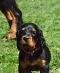 dsc_0256.jpg