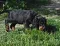 dsc_0170_3.jpg